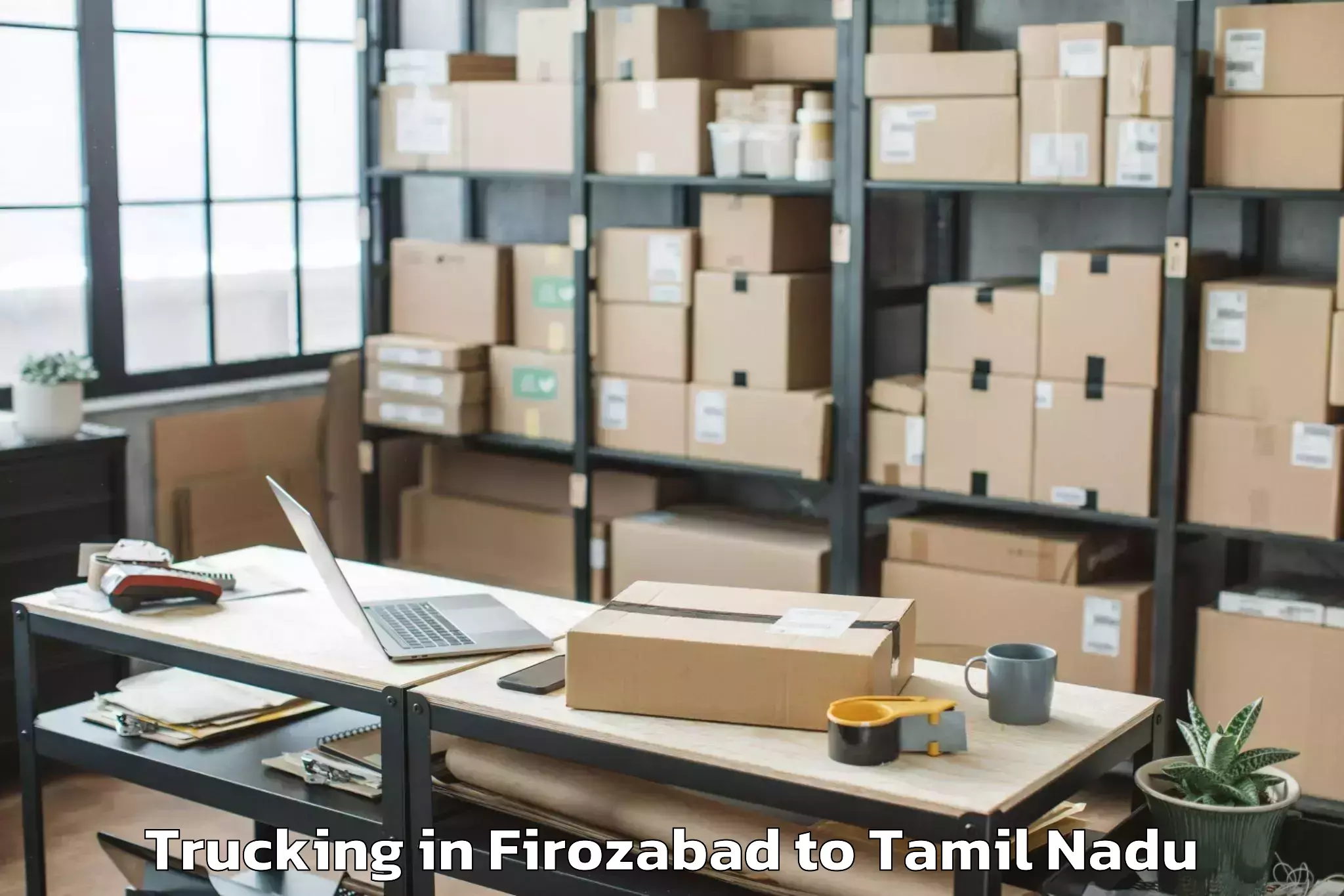 Affordable Firozabad to Kuzhithurai Trucking